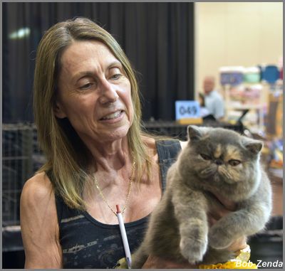 Jazzycats Eye Candy